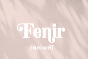 Fenir Elegant Serif Font, a Serif Font by Creative Foundry (Thumbnail 1 of 10)