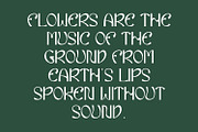 Eiclare Decorative Display Font, a Handwritten Font by Maulana Creative (Thumbnail 5 of 7)