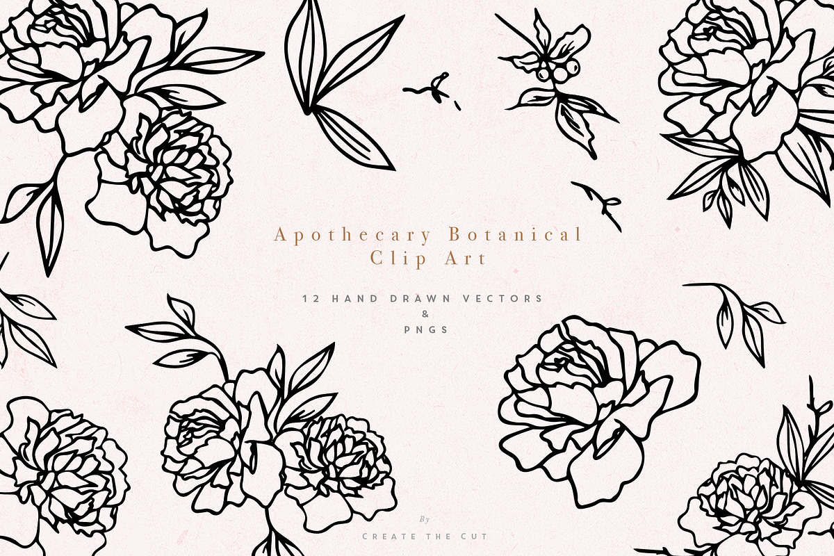Apothecary Display Font, a Font by Create The Cut (Photo 10 of 13)