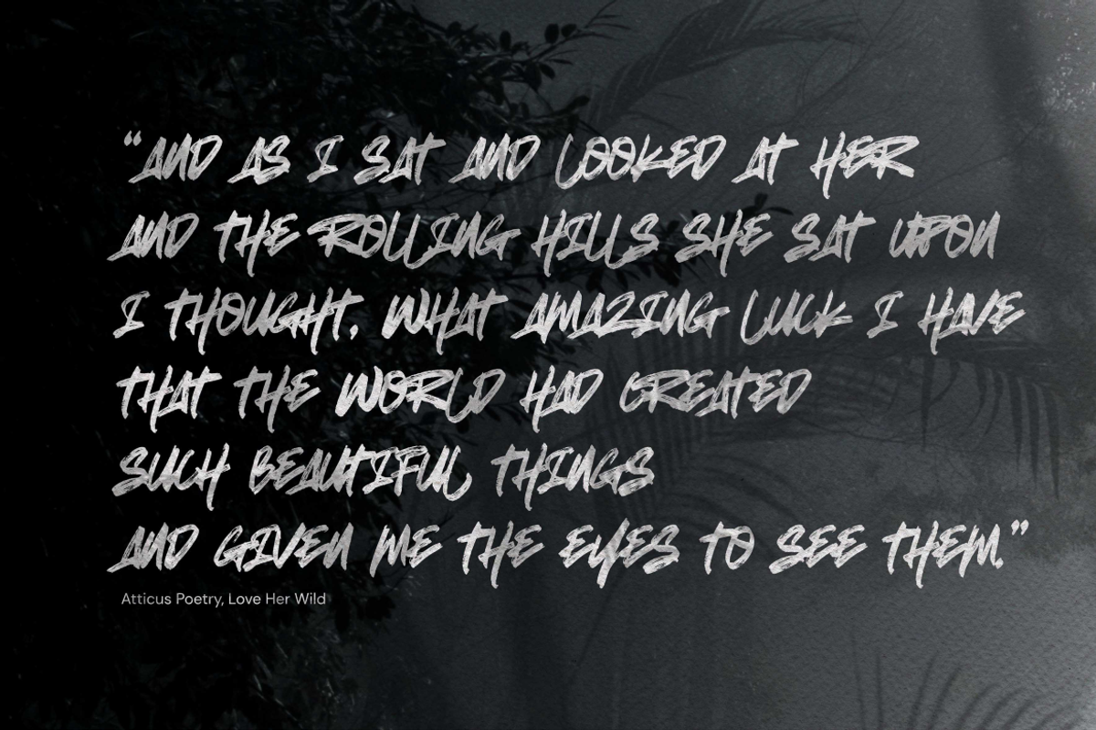 Bad Habits - Rough Brush font, a Script Font by Gassstype (Photo 2 of 10)