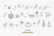AUTUMN|Botanical line art collection, a Seasonal Illustration by Navenzeles (Thumbnail 13 of 16)