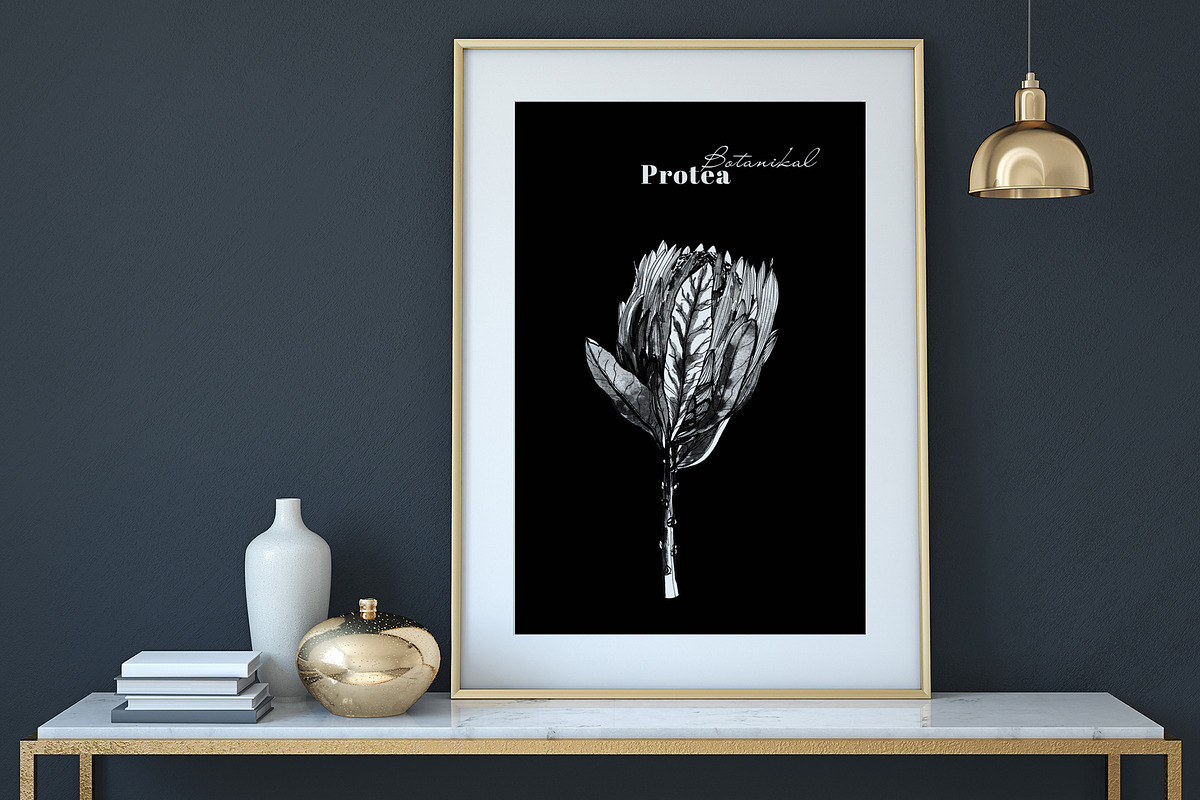 Botanical cards collection, a Decorative Illustration by Art AleshkaK (Photo 3 of 8)