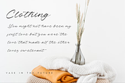 Pharellia Redusha A Modern Script, a Script Font by Storytype Studio (Thumbnail 7 of 15)
