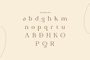 Spotless - Modern Stylish, a Serif Font by RockboyStd (Thumbnail 11 of 12)