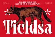 Tieldsa Bold Serif Display Font, a Serif Font by timelesstype.co (Thumbnail 1 of 20)