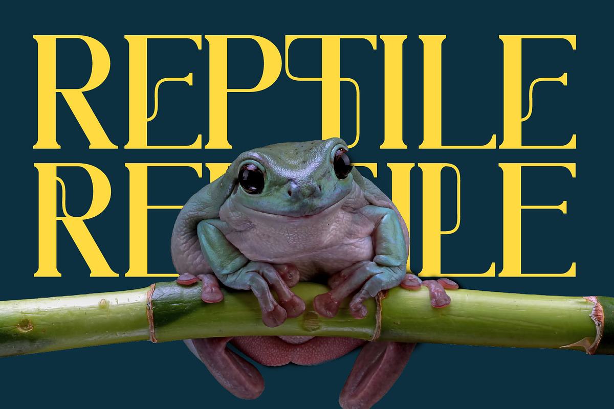 Auronix, a Serif Font by Rishsketch (Photo 2 of 15)