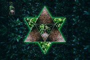 Sacred Geometry Generator, a Plug-in Add-On by Pro Add-Ons (Thumbnail 12 of 22)