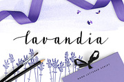 Lavandia, a Script Font by Tabita's shop (Thumbnail 1 of 5)