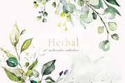 Herbal Watercolor collection, a Work Illustration by Lisima (Thumbnail 1 of 14)