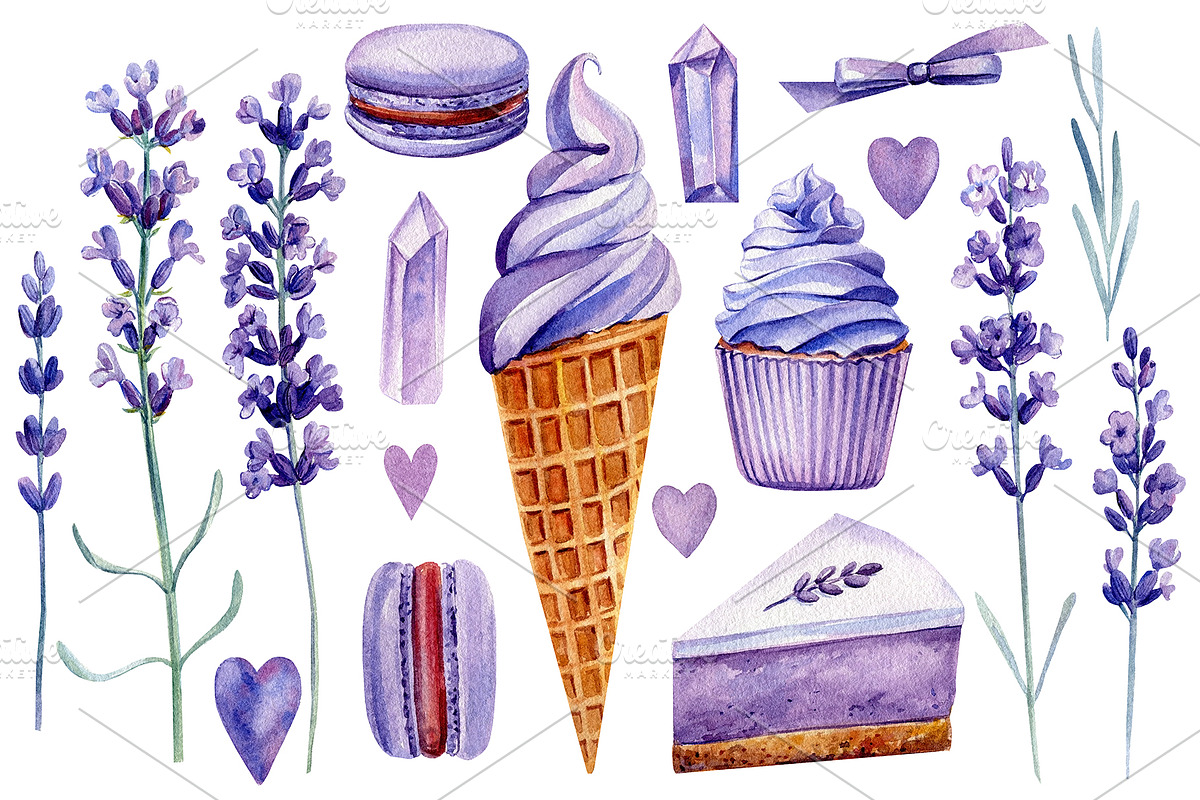 Lavender flowers watercolor, clipart, a Food Illustration by Hanna Hryharenka (Photo 4 of 17)