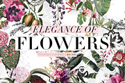 Elegance of Flowers!, a Pattern Graphic by Pink Linen (Thumbnail 1 of 11)