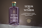 Paradisian Serif, a Serif Font by Dopestype (Thumbnail 6 of 12)
