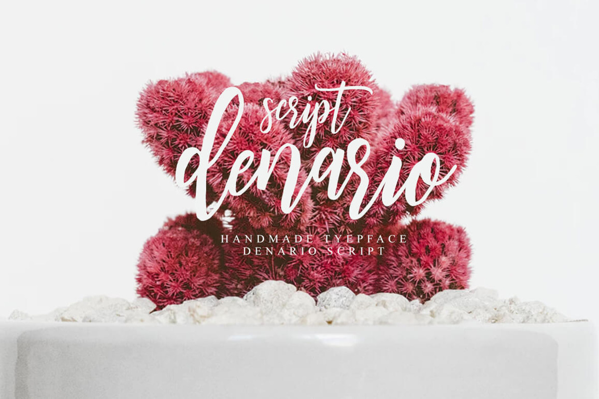 Denarrio Script 80%off preview 8