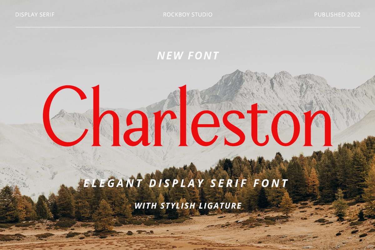 Charleston - Modern Stylish, a Font by RockboyStd (Photo 1 of 12)