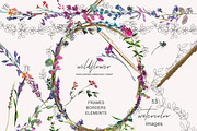 Watercolor Wildflower Clipart, an Illustration by Patishop Art (Thumbnail 2 of 9)
