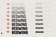 Redwing, a Sans Serif Font by Jeremy Nelson Design (Thumbnail 4 of 19)