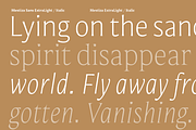 Mestiza Sans, a Sans Serif Font by Lechuga Type (Thumbnail 13 of 19)