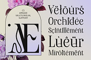 CS Arnade – Aesthetic Font, a Serif Font by Craft Supply Co. (Thumbnail 3 of 8)