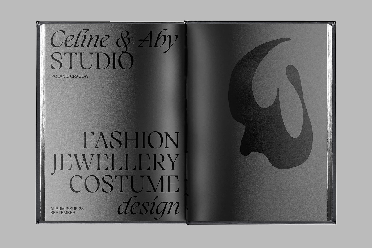 Silene - Elegant Serif Typeface, a Serif Font by Piotr Łapa (Photo 12 of 12)