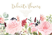 Watercolor peony and eucalyptus, a Decorative Illustration by marie dricot (Thumbnail 1 of 11)