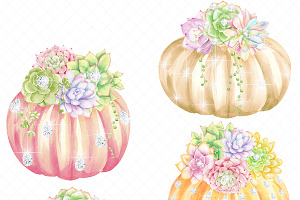 Pumpkins And Succulents Cliparts