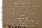 Fasttelo Engelliy Elegant Script, a Script Font by Letterena Studios Script (Thumbnail 14 of 15)
