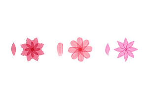 Pink watercolor flowers and petals, an Object Illustration by okskukuruza