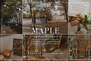15 Aesthetic Fall Lightroom Presets, a Preset Add-On by TheWayfarerShoppe (Thumbnail 1 of 8)
