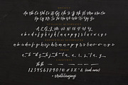 Megattor Script, a Script Font by Letterhend Studio (Thumbnail 5 of 10)
