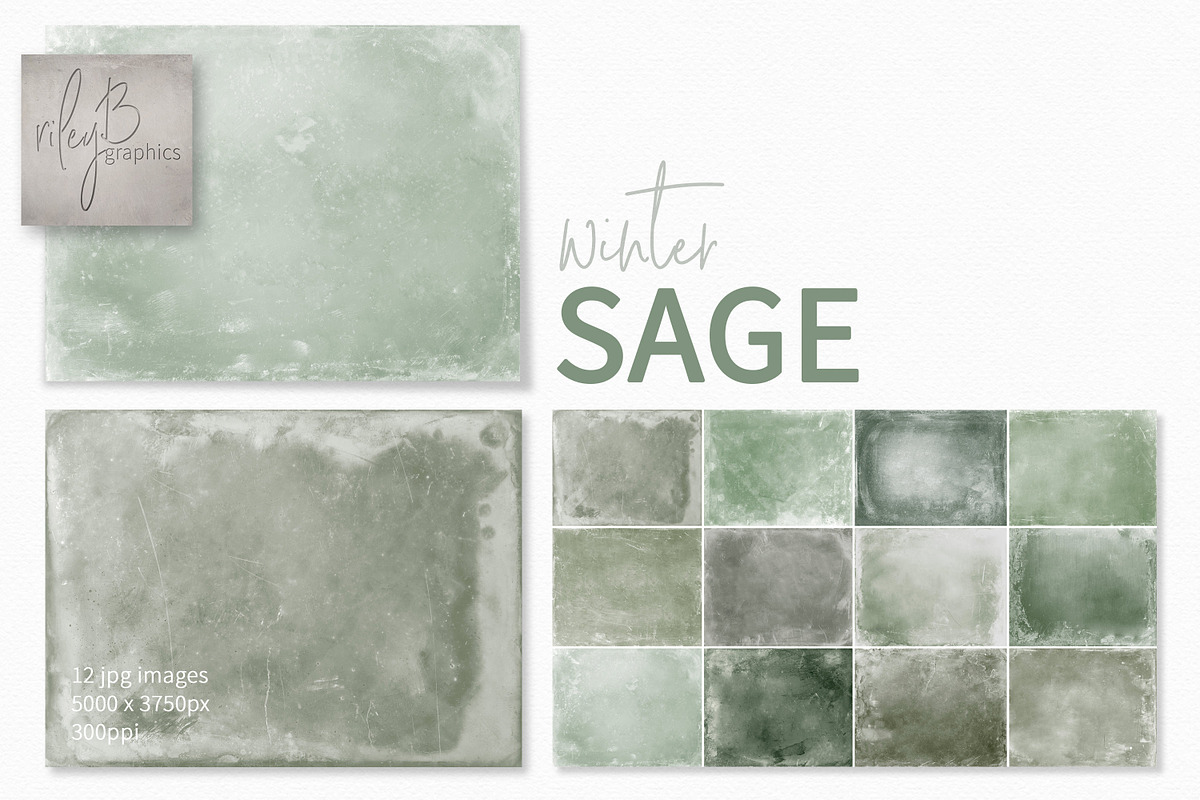 Winter Sage Textures, a Texture Graphic by rileyBgraphics (Photo 1 of 6)