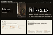 Understory Editorial Deck Template, a Presentation Template by Uno Creative Studio (Thumbnail 8 of 10)