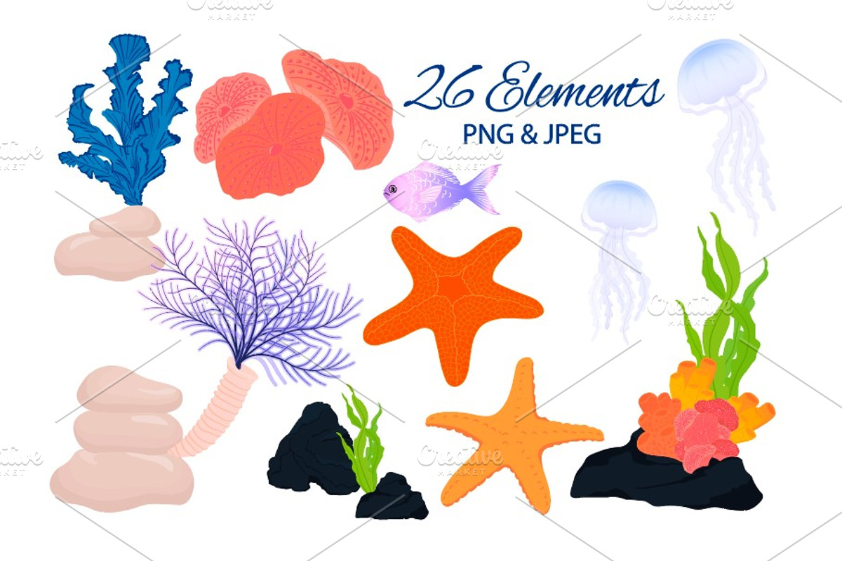 Ocean Sea Collection, a Seasonal Illustration by MariiaVasilenko (Photo 2 of 8)