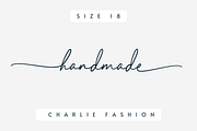 Elegant Lady, a Script Font by Sronstudio (Thumbnail 5 of 13)