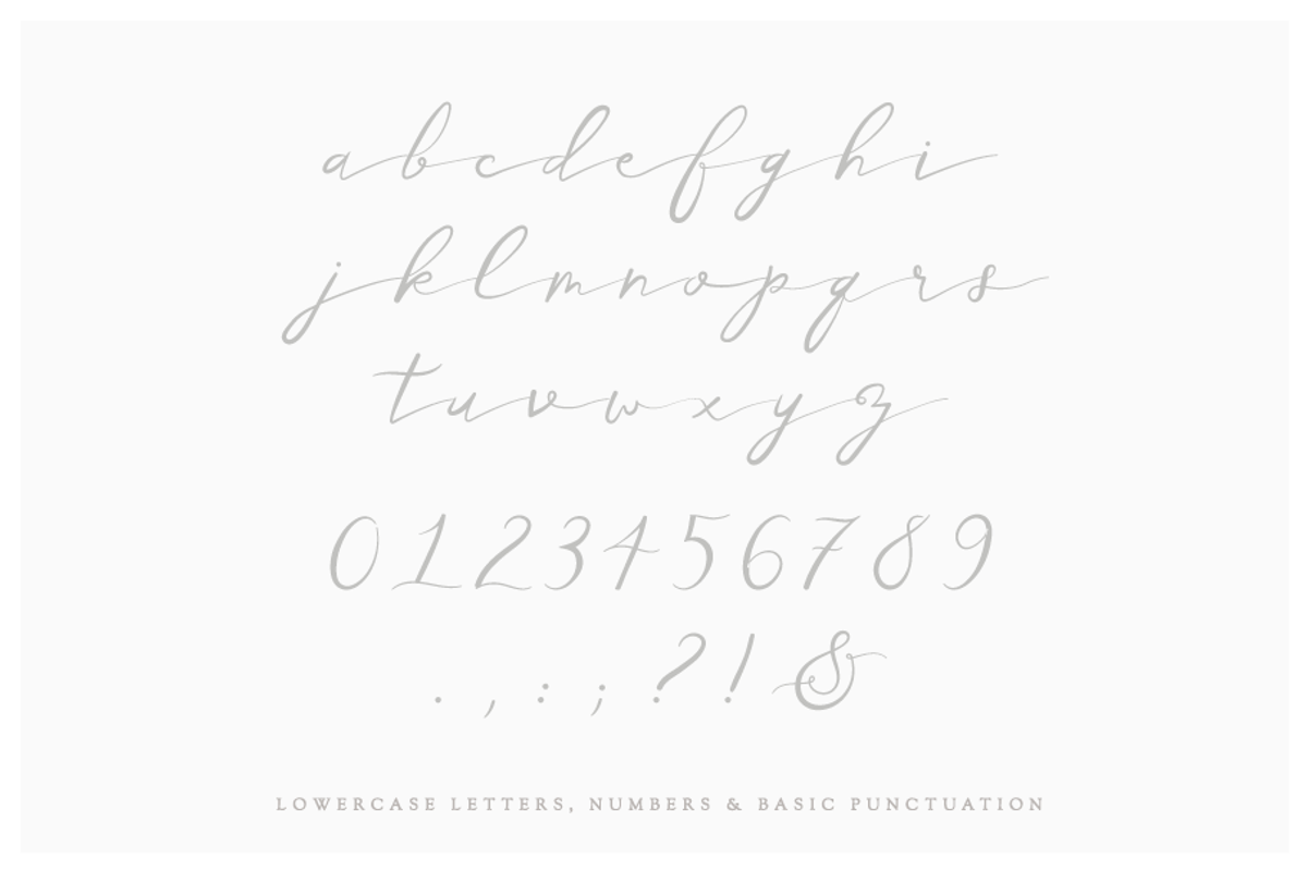 Belle Mere Script Font preview 5
