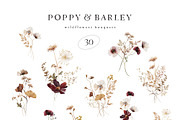 POPPY & BARLEY Autumn Wildflowers, a Seasonal Illustration by Muse Artist (Thumbnail 3 of 14)