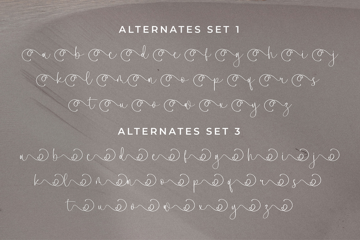 Clanetta, a Script Font by Integritype Studio (Photo 12 of 15)