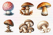 Watercolor Mushroom Clipart, an Illustration by CreationArt (Thumbnail 4 of 7)