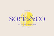Vestige Harmony, a Serif Font by Attract Studio (Thumbnail 4 of 14)