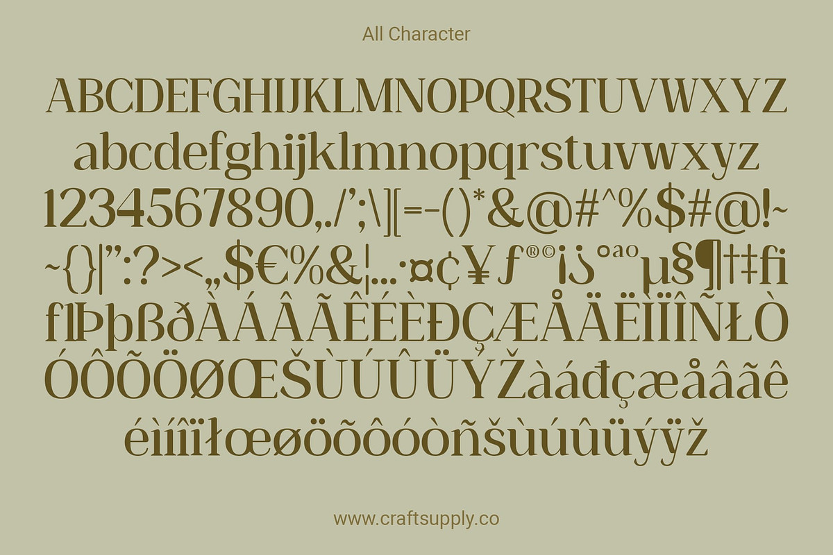 Heidan Rounded, a Serif Font by Craft Supply Co. (Photo 6 of 8)