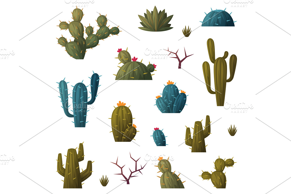 Cacti or Cactus Plant as Succulent, an Object Illustration by TopVectors
