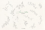 Sensuous Line Floral Crests Wreaths, an Illustration by whiteheartdesign (Thumbnail 6 of 9)