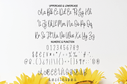 Daddy Bee | Script Font, a Script Font by Scratchones (Thumbnail 3 of 8)