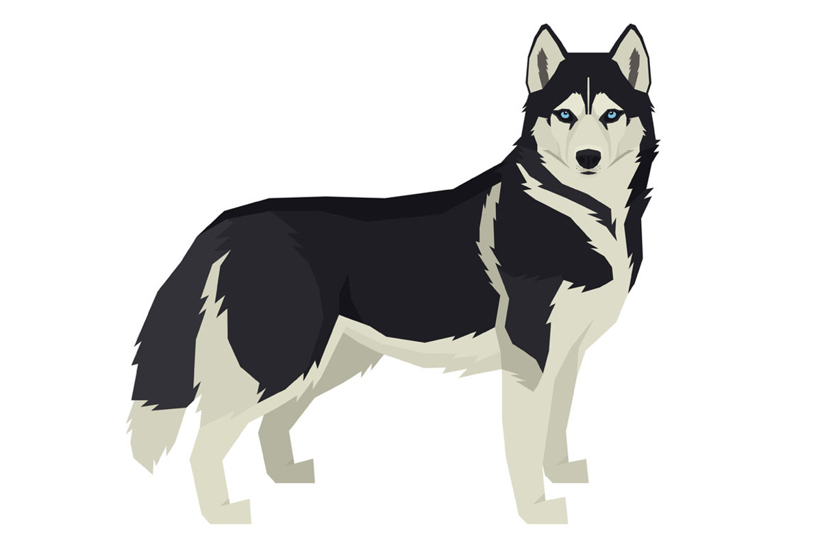 Dog breeds Siberian Husky, an Animal Illustration by Nenilkime (Photo 2 of 3)