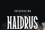 Haidrus, a Serif Font by lelevien (Thumbnail 2 of 5)