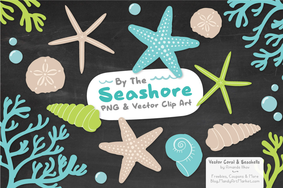Fresh Vector Seashells, an Illustration by Amanda Ilkov (Photo 3 of 5)