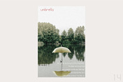 Bolula | An elegant sans serif, a Sans Serif Font by white supply (Thumbnail 4 of 5)