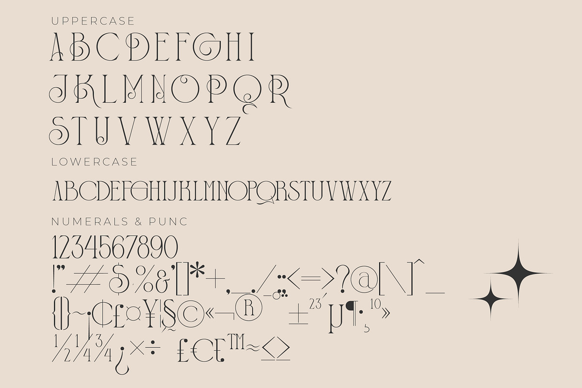 BAGISKO Modern Serif Font, a Serif Font by Storytype Studio (Photo 13 of 15)