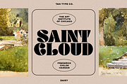 TAN - DAISY, a Serif Font by TanType (Thumbnail 3 of 14)