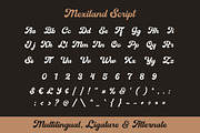 Mexiland - Vintage Font Duo, a Script Font by Grezline Studio (Thumbnail 10 of 12)