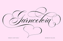 Garncoleia - Romantic Script Family